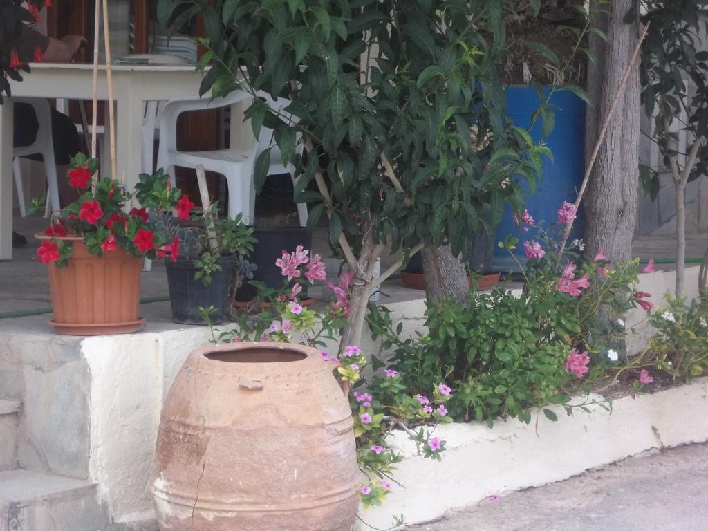 Knossos Hotel Kalamaki  Eksteriør billede